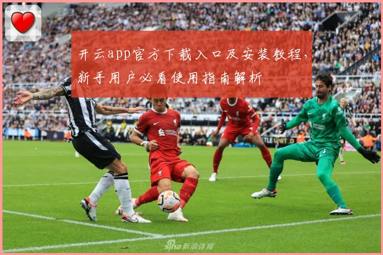 开云app官方下载入口及安装教程，新手用户必看使用指南解析