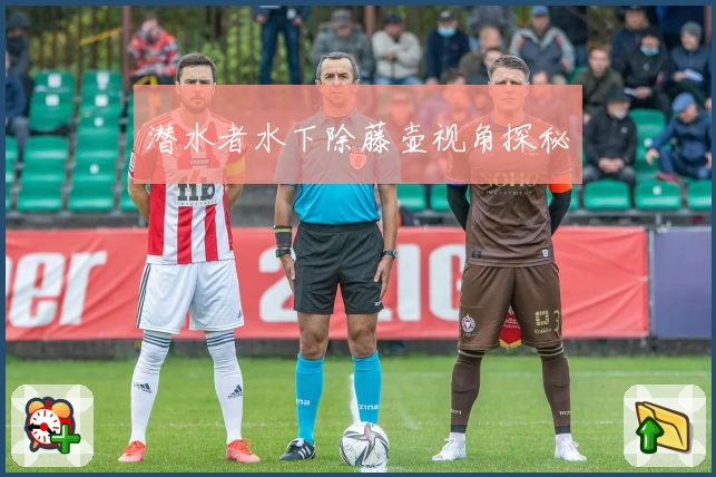 潜水者水下除藤壶视角探秘