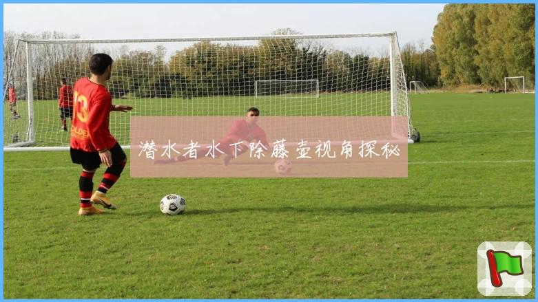 潜水者水下除藤壶视角探秘